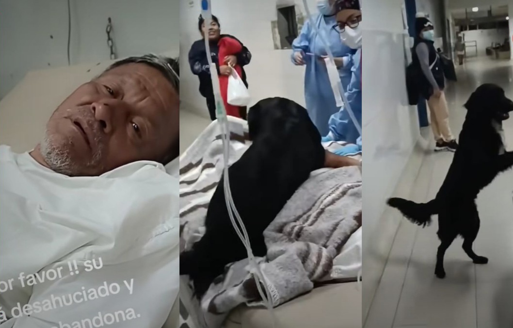 VIDEO: Hombre desahuciado ruega para que adopten a su perrito