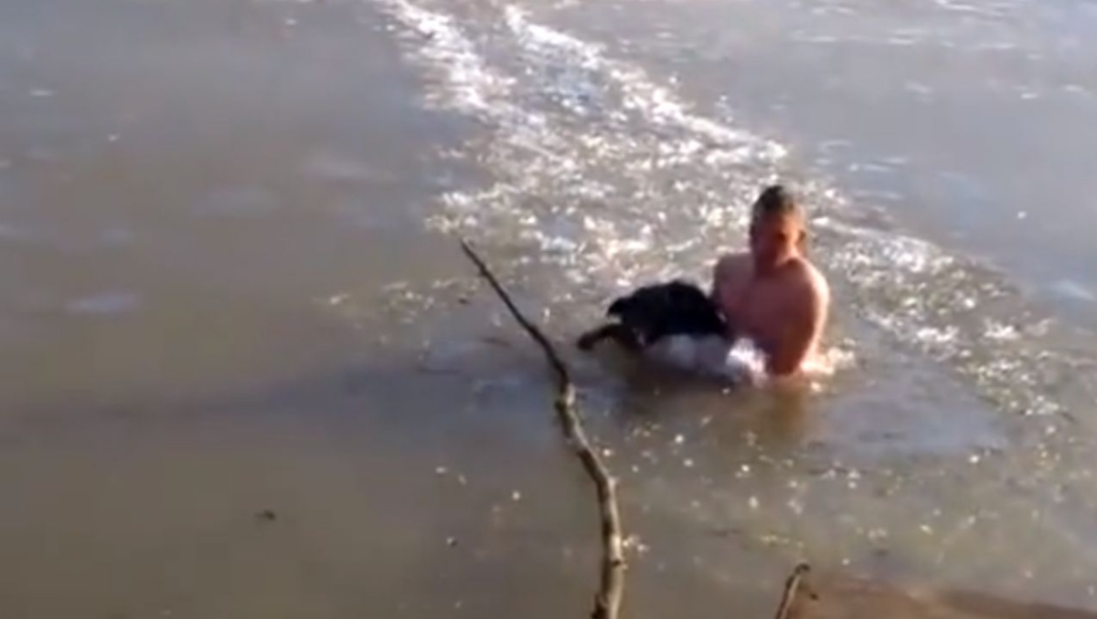 VIDEO: Hombre rompe el hielo de un lago congelado con sus manos para rescatar a un perrito