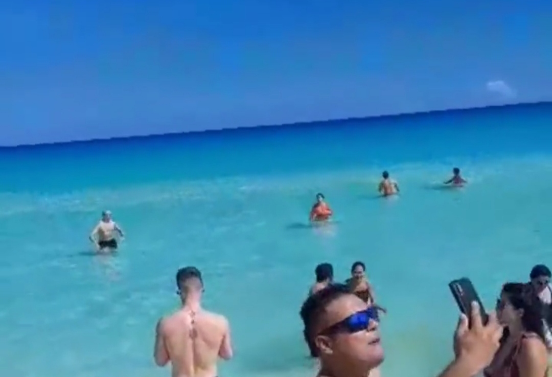 VIDEO: Evacúan a bañistas de playa Marlín, Cancún tras avistamiento de tiburón