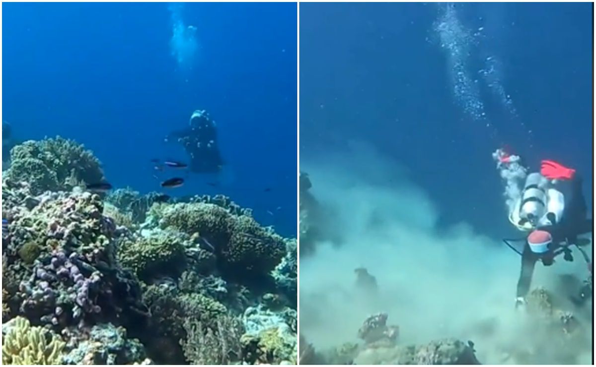 VIDEO: Terremoto sorprende a un grupo de buzos en el fondo del mar