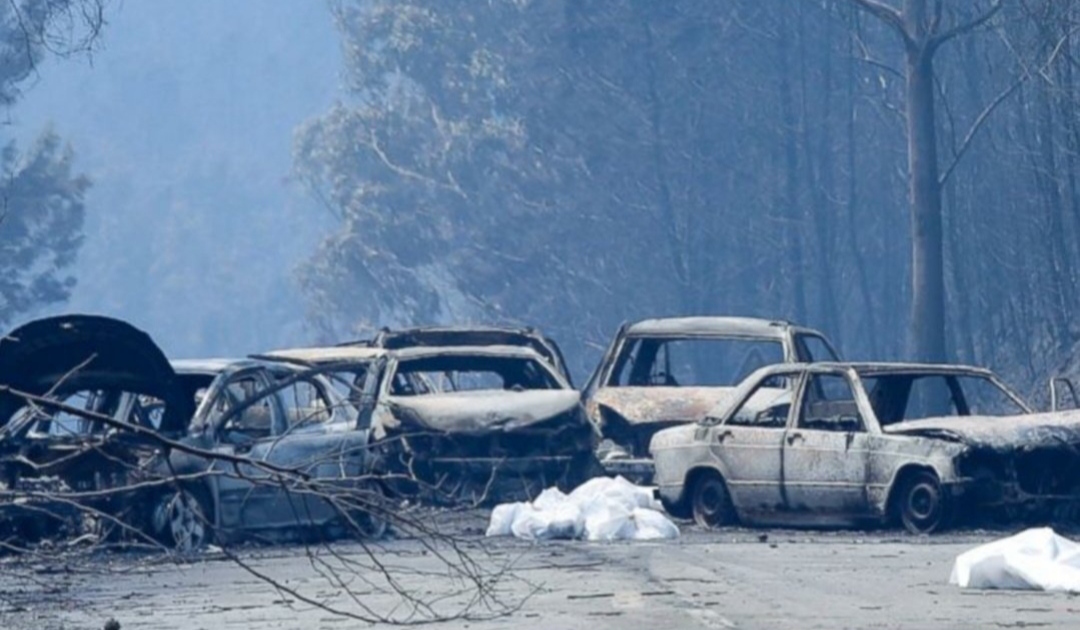 Aumentan a 300 los desaparecidos y más de 64 los fallecidos tras incendio en Chile