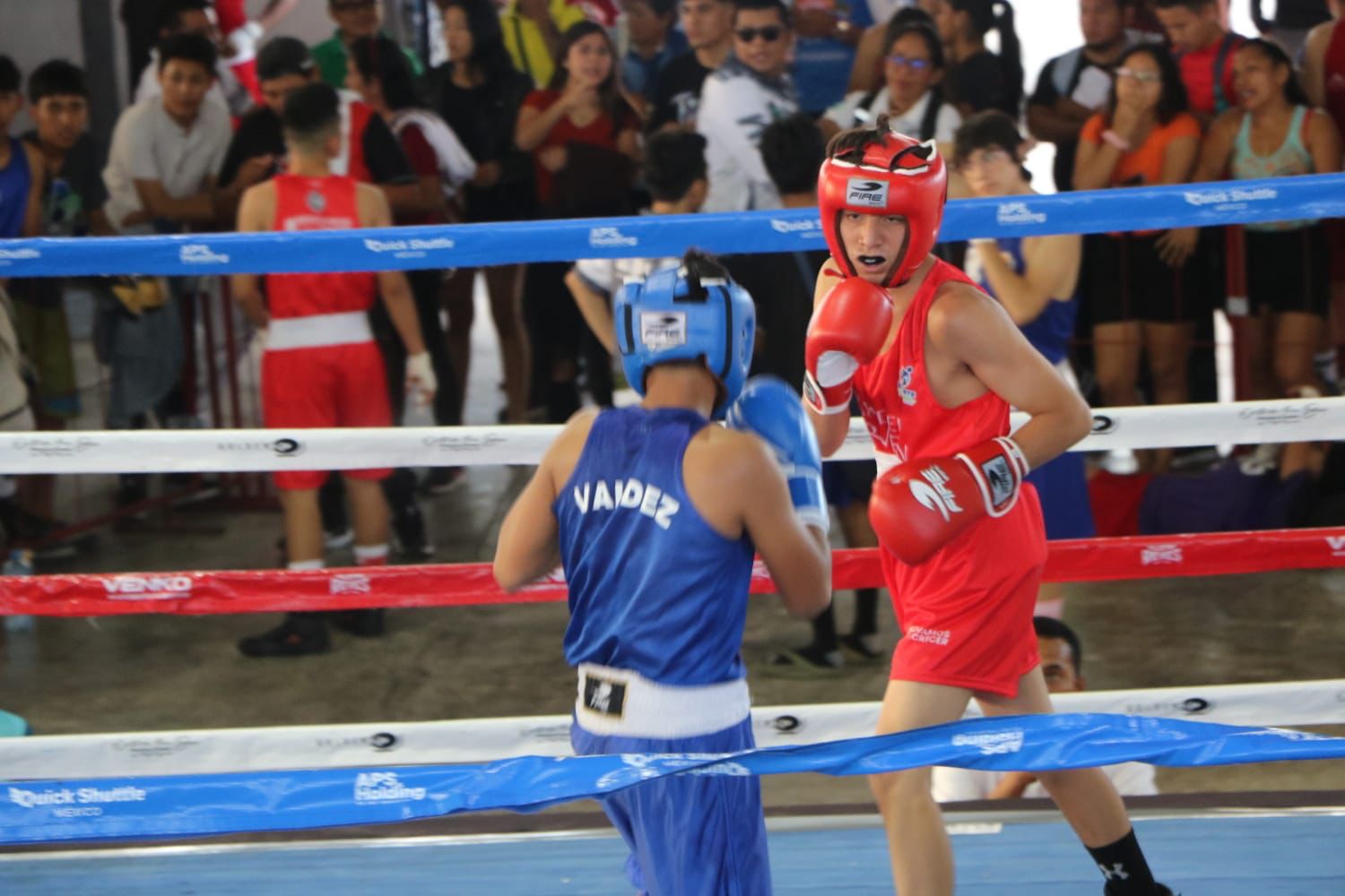 Cumplen con éxito boxeadores quintanarroenses en los Juegos Deportivos Estatales 2024