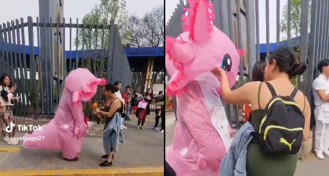 VIDEO: Joven se disfraza de ajolote en San Valentín para declarar su amor y lo rechazan