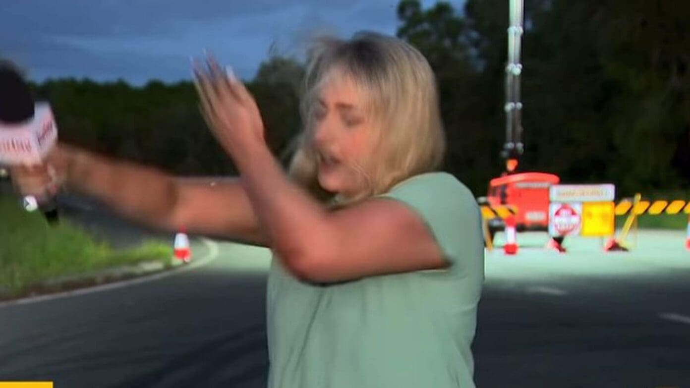 VIDEO: Mosquito ataca a reportera y se roba el protagonismo en una transmisión en vivo