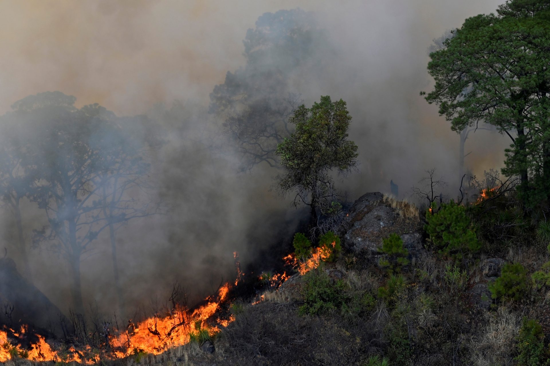 Más de 100 incendios forestales están activos en México