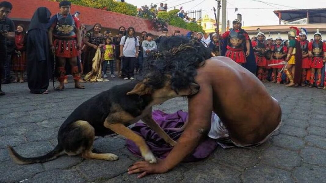 VIDEO: Perrito consuela a actor que interpretó a Jesús durante Viacrucis de la Pasión de Cristo