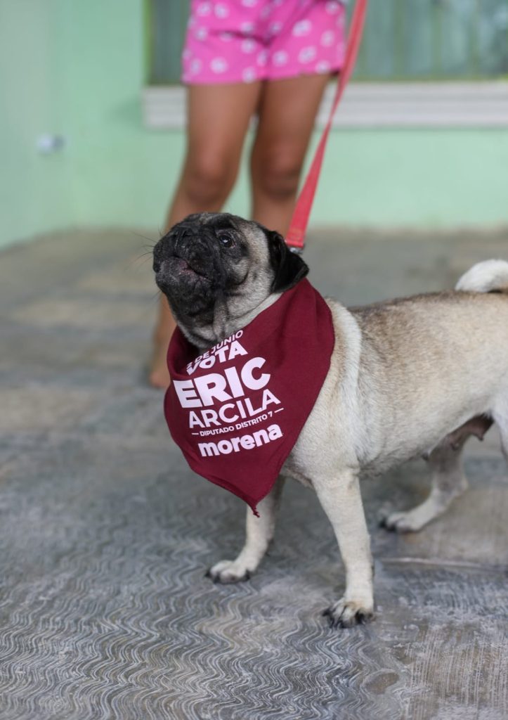 Se compromete Eric Arcila a legislar a favor de las mascotas de Cancún