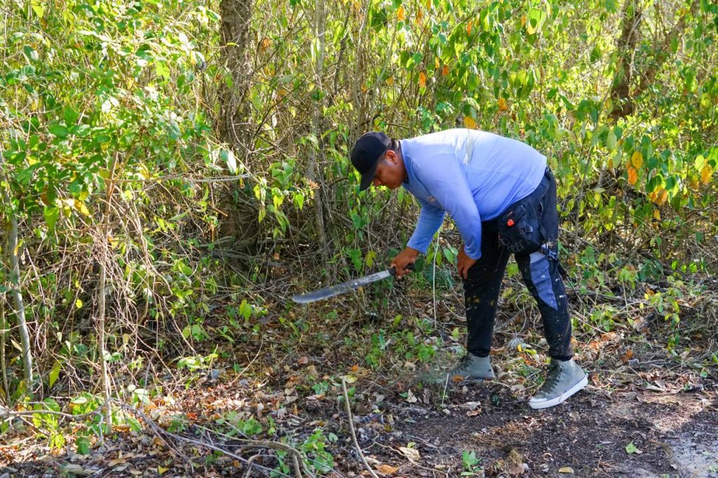 Invitan a no crear tiraderos y reportarlos