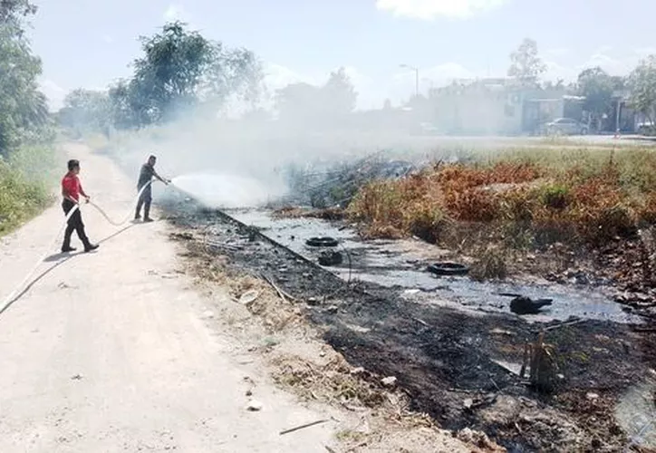 Incendios forestales arrasan con 16 mil hectáreas en Quintana Roo