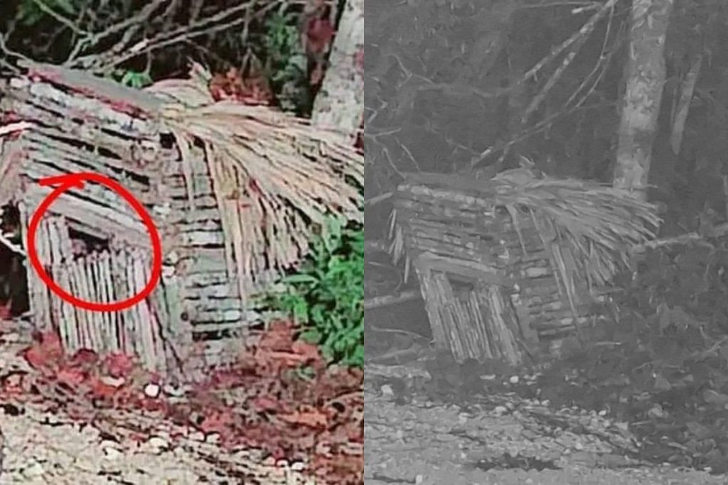 Se viraliza fotografía de supuesto Aluxe captado en Aeropuerto de Tulum 