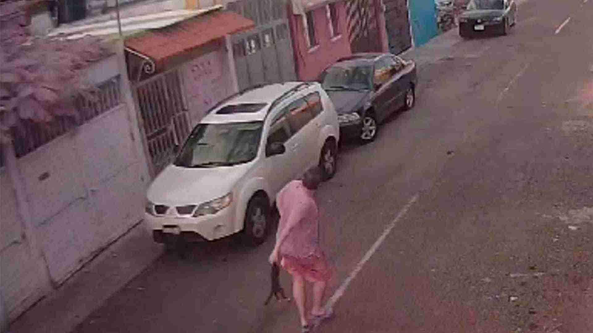 VIDEO: Hombre lanza a un gatito al cableado de luz en Querétaro