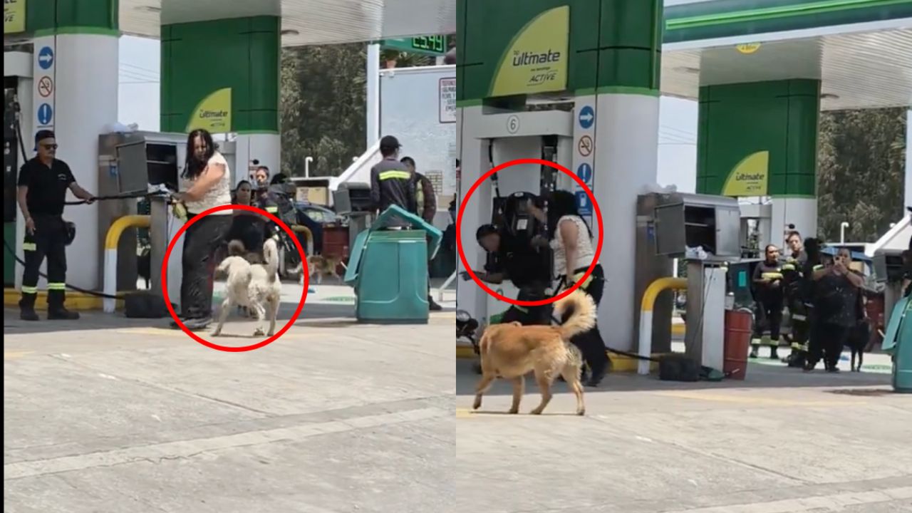 Mujer se adueña de una bomba en gasolinera, amenaza empleados, clientes ¡y hasta a dos perritos!