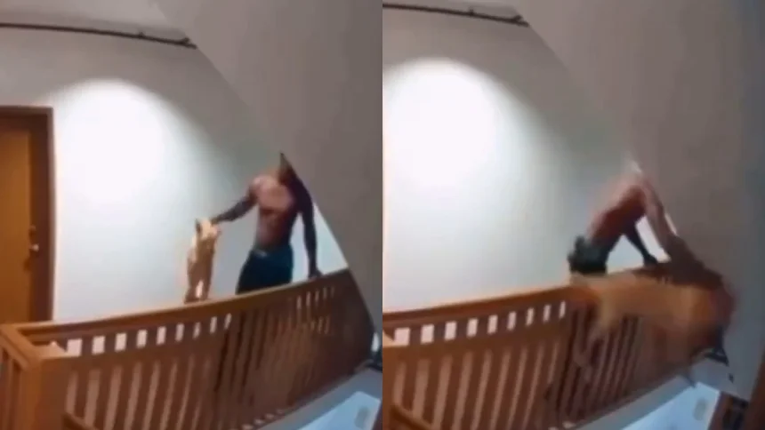 VIDEO: Hombre lanzó a su mascota por las escaleras de un edificio