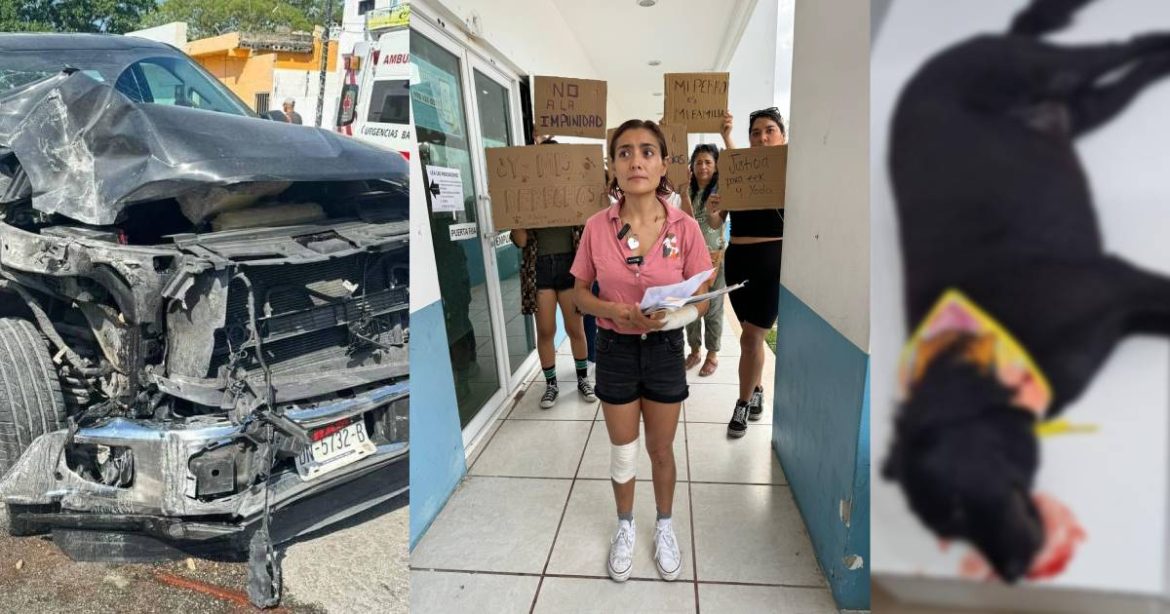 Estefanía Mercado invita a Mariana Rubio, dueña de Ekk y Yoda, a coordinar mesas de trabajo para protección animal en Playa del Carmen