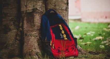 Hermanitos son aplastados por un árbol cuando iban a la escuela; uno murió y el otro está grave