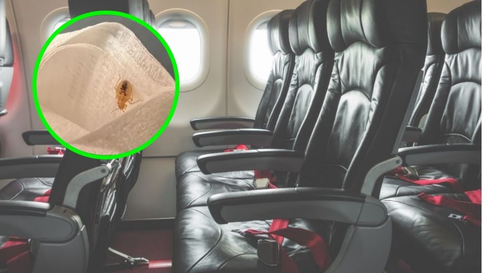 Pasajero encuentra chinches en un vuelo de primera clase de American Airlines