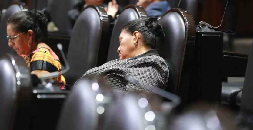 Diputada de Morena se duerme en sesión de San Lázaro; legisladores discutían reforma sobre protección de animales