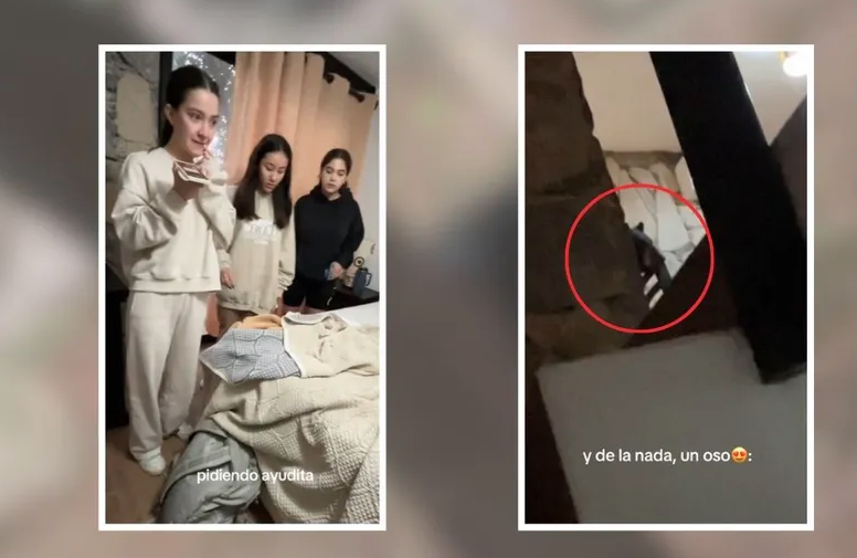 VIDEO: Grupo de amigas son sorprendidas por oso en una cabaña en Chipinque