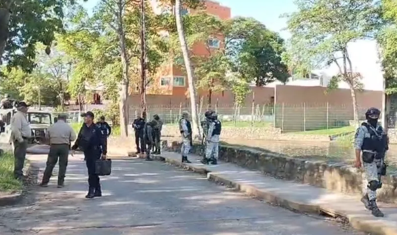 Descubren a cocodrilo comiendo cuerpo de joven reportado como desaparecido en Tabasco