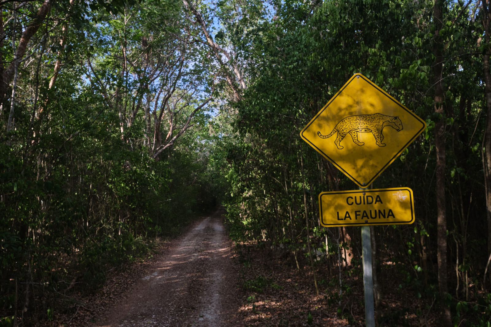 Proyecto Estratégico para la Conservación de la Fauna Silvestre en Quintana Roo