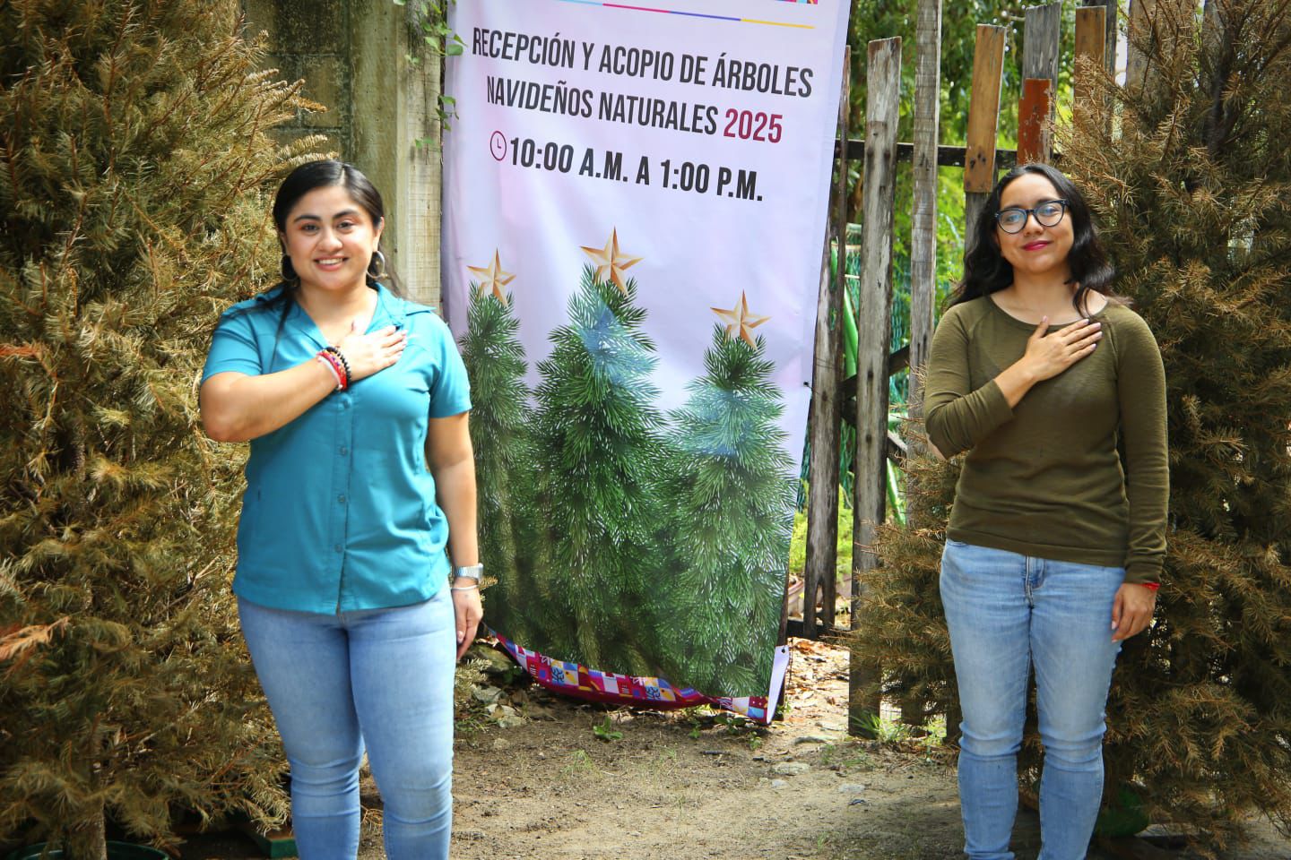 Programa de Recepción y Acopio de Árboles Navideños