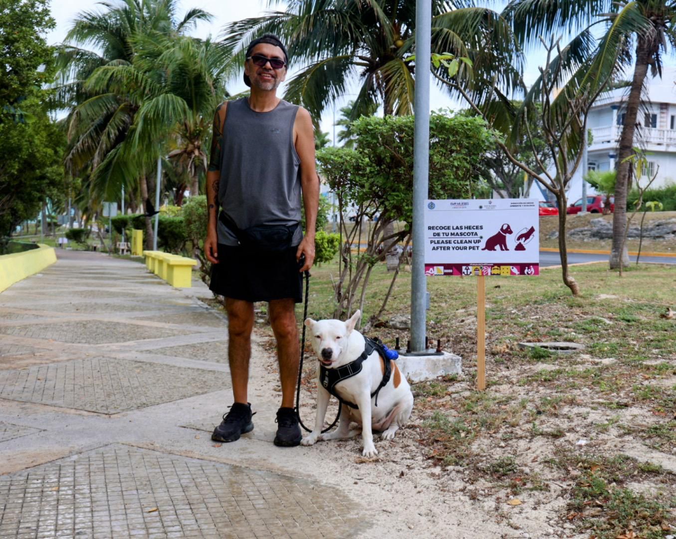 bienestar animal isla mujeres