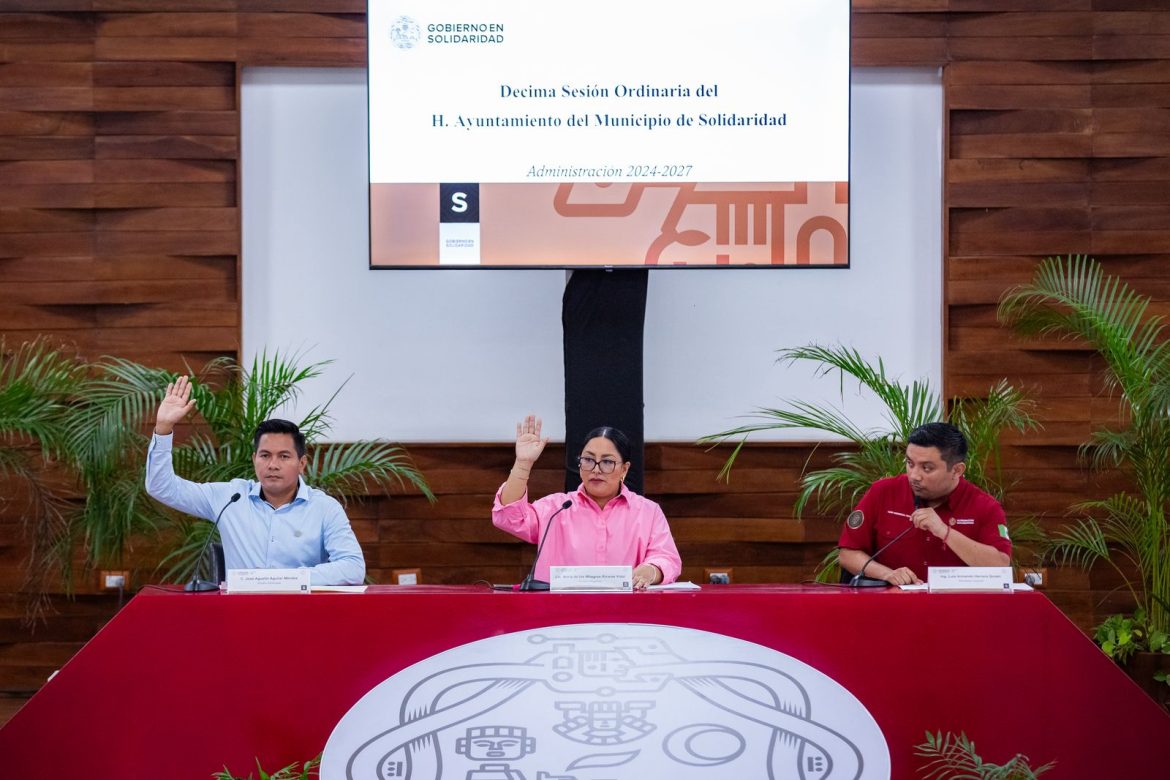 licencia de funcionamiento en Solidaridad