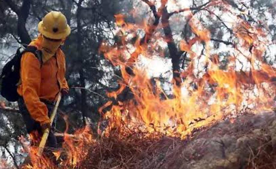 incendios forestales