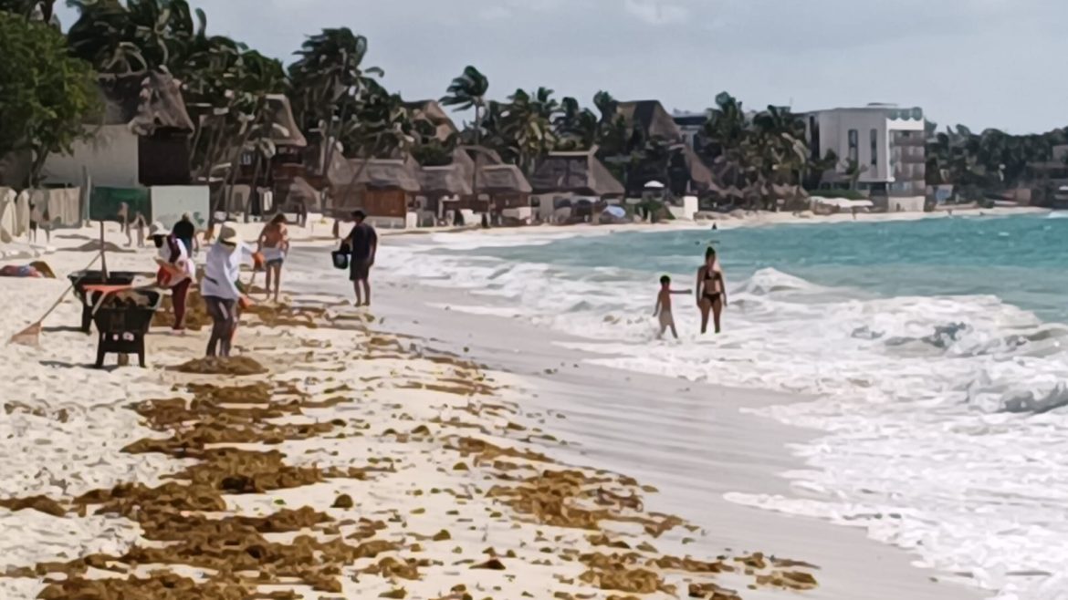 Playas Sin Sargazo