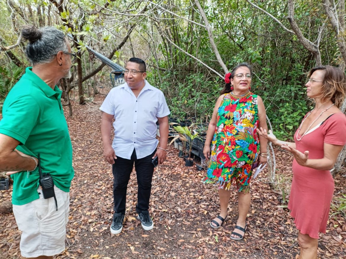 Buscan reconectar a comunidades con naturaleza y tradiciones