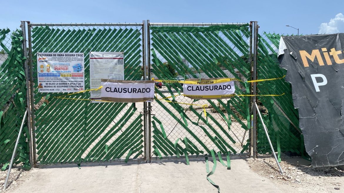 clausuró tala ilegal ubicada en la avenida 40 Norte con Federal