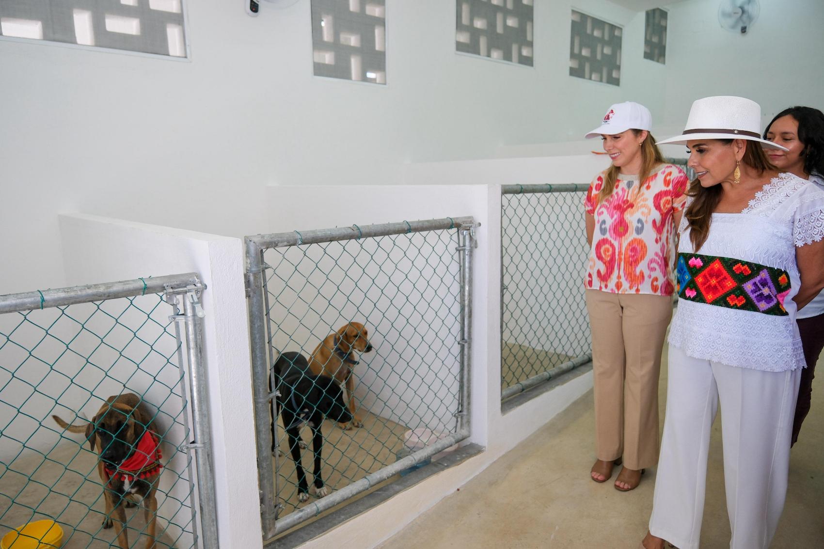 Centro de Bienestar y Control Animal en Isla Mujeres