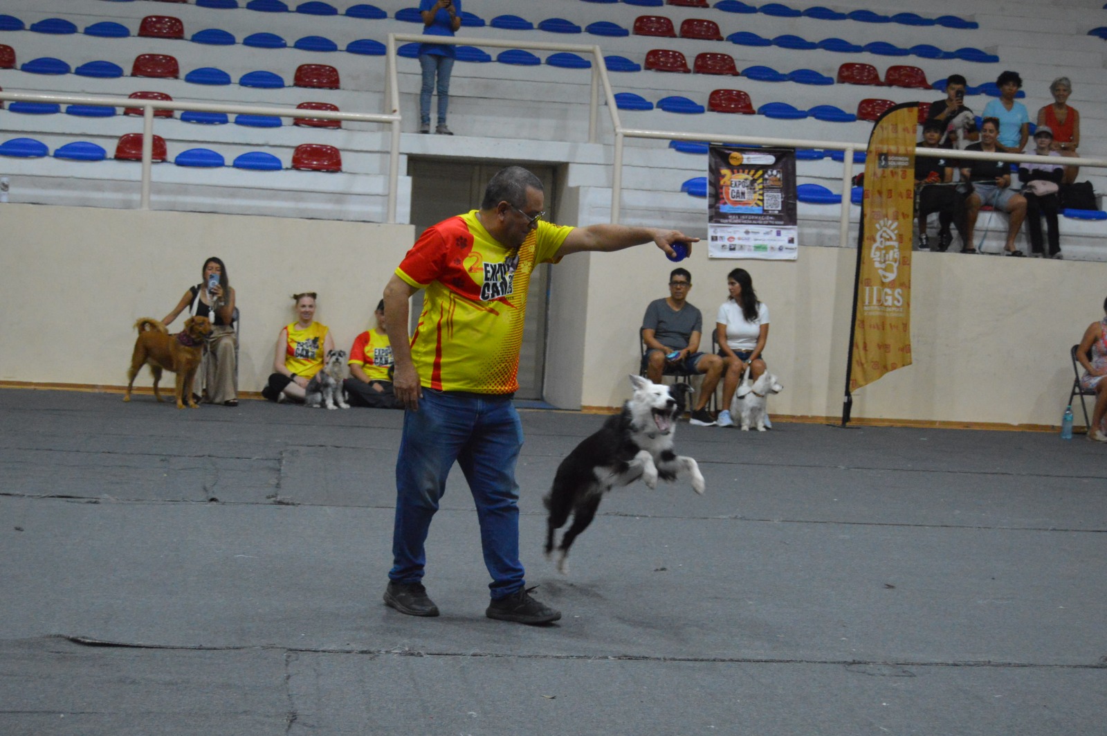 Perros Expo Can