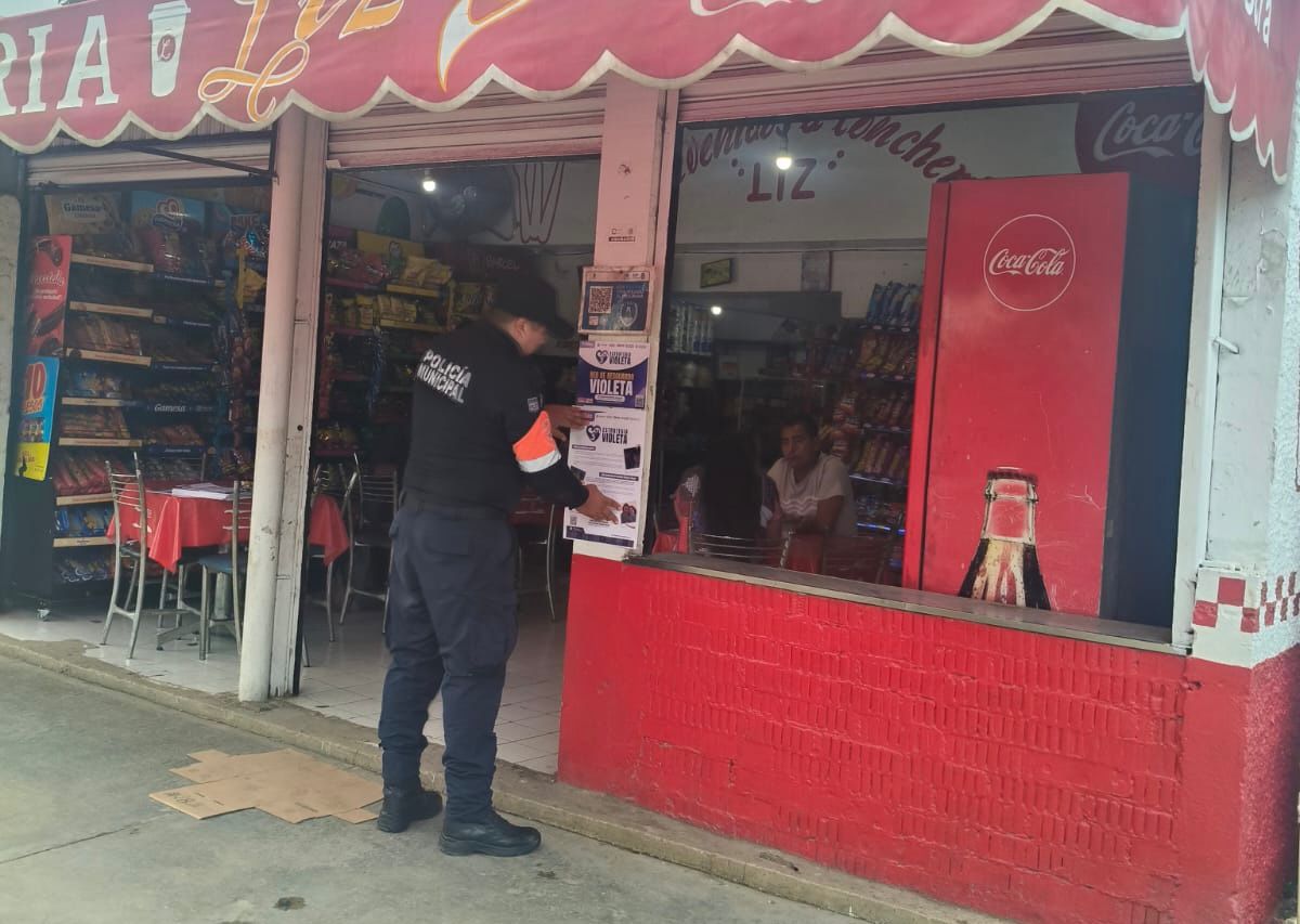 Red De Resguardo Violeta de Puerto Morelos