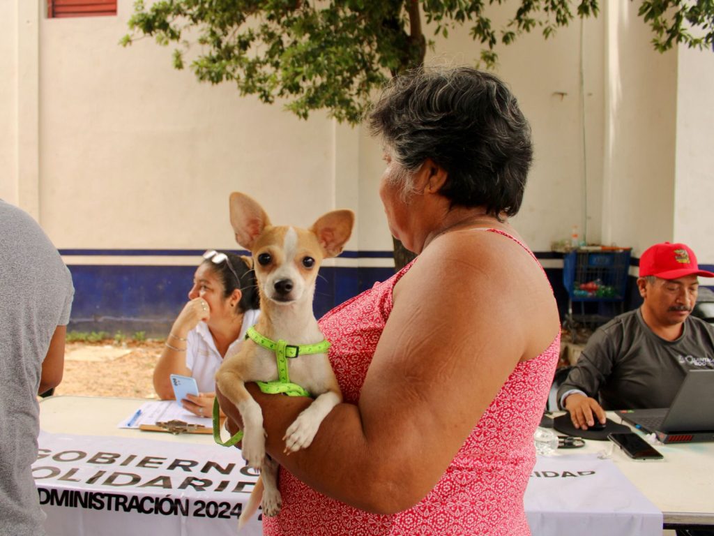 Caravana del Bienestar Animal