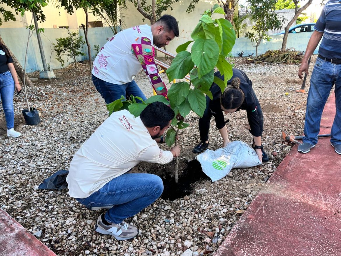 Reforestan en Villas del Sol para mitigar el calor