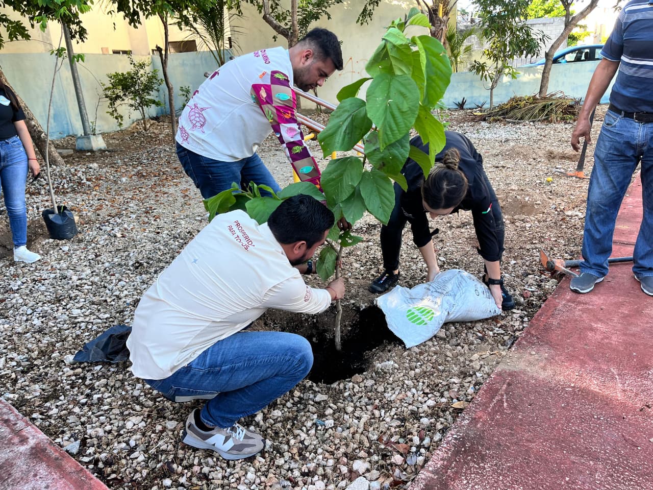 Reforestan en Villas del Sol para mitigar el calor