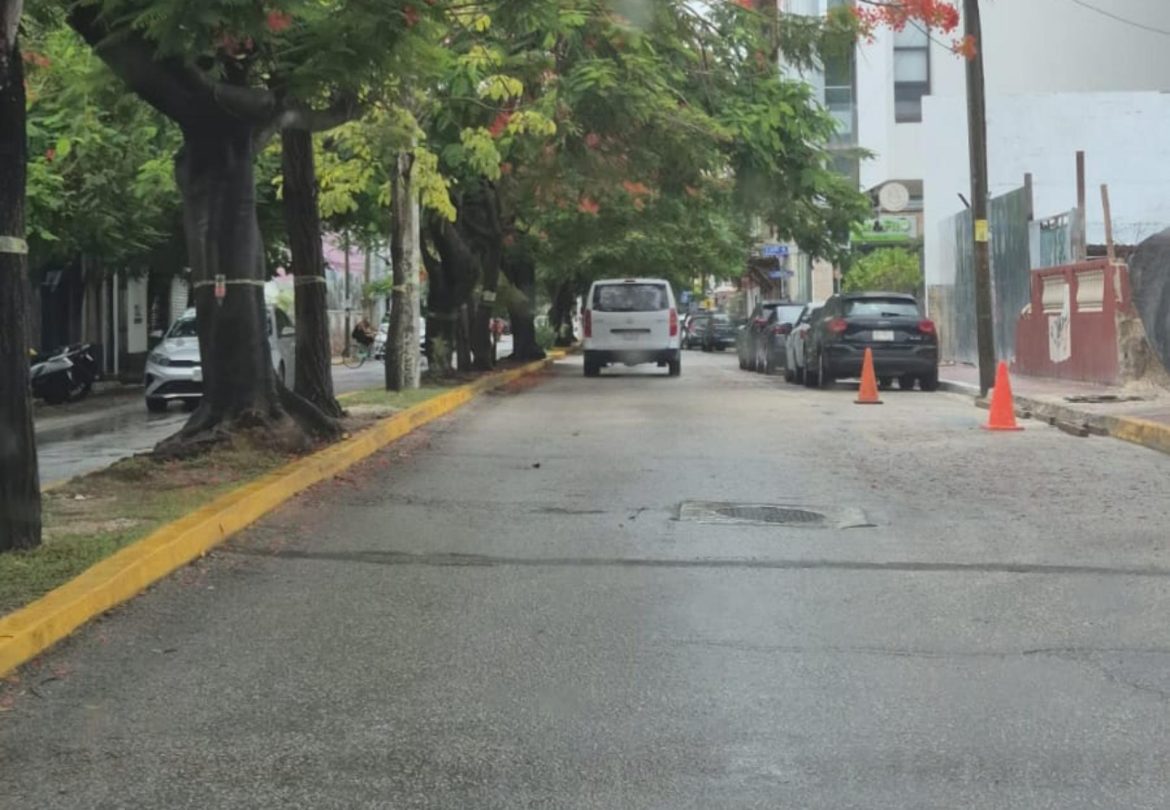 avenida 10
