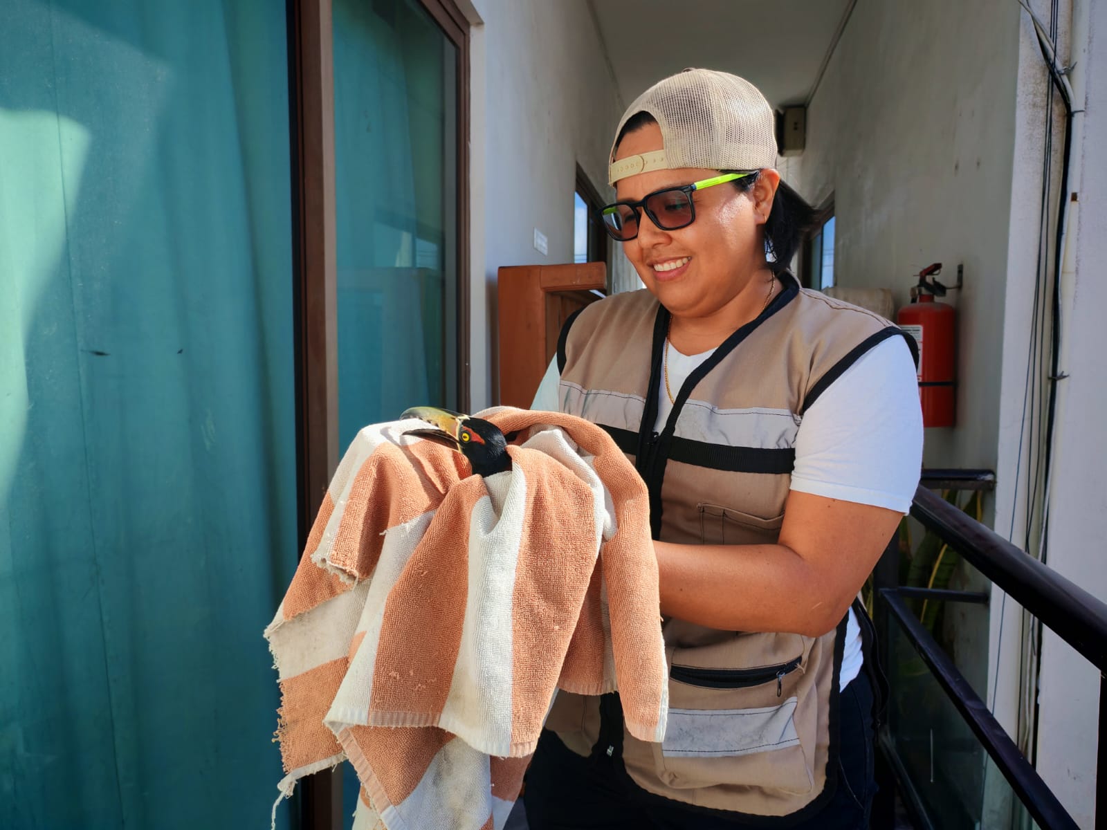 Rescate de Fauna Silvestre