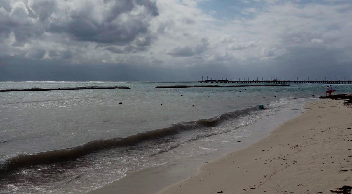 Luego del atípico recale de sargazo playas de Playa lucen limpias