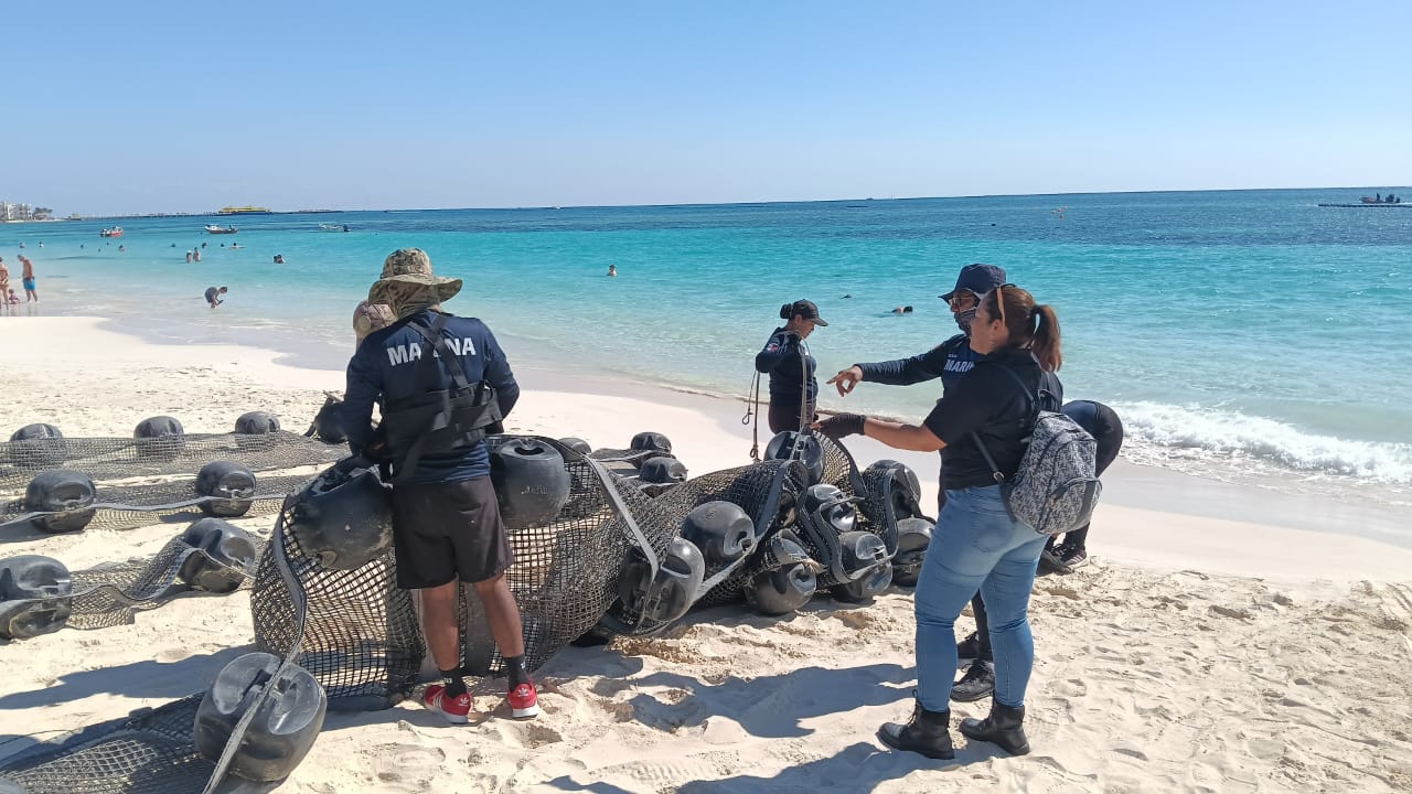 Avanza colocación de barreras antisargazo en Playa del Carmen